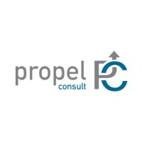 Propel Consult logo - Similar company to Propel