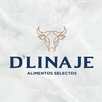 DLinaje logo - Similar company to Yaax Carbon