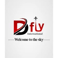Dfly International logo - Similar company to Flyby Avation