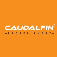 CaudalFin Technologies Pvt Ltd logo - Similar company to Dialtronics Systems Pvt Ltd