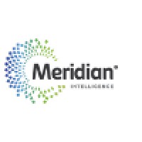 Meridian Healthcare Intelligence logo - Similar company to Blueprint To Practice Automation