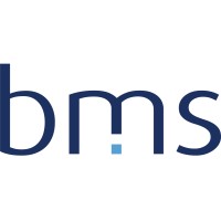 blue milestone GmbH logo - Similar company to Centrldesk