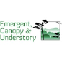 Emergent, Canopy & Understory