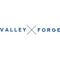 Valley Forge Solutions logo - Similar company to ENNE Fundazioa