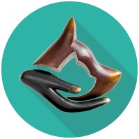 Réseau CAPdouleur logo - Similar company to Spevet