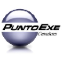 PuntoExe Consultores logo - Similar company to Qapps