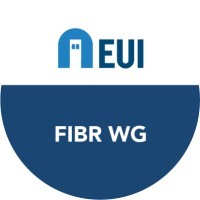 EUI Finance, Innovation and Business Regulation Working Group logo - Similar company to Ai4Developmentagency (Ai4Da)