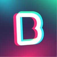De BeeldBrekers logo - Similar company to Lindegaard