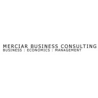 Merciar Business Consulting logo - Similar company to Facetune