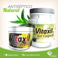 Vitaliza logo - Similar company to Huertum