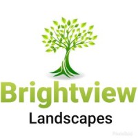 Bright View Landscapes Ltd logo - Similar company to Bright Views