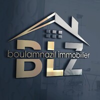 BLZ Real Estate logo - Similar company to Blz