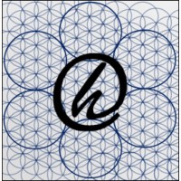 Happyslasher logo - Similar company to Institut Emergence
