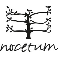 Nocetum logo - Similar company to Labsitters