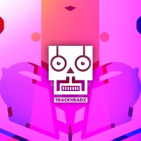 Trackheadz logo - Similar company to Flitter Fever Travel Blog