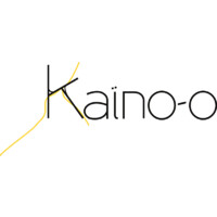 KAINO-O logo - Similar company to Wagner Hamisky