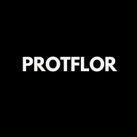 Protflor Aero logo - Similar company to Impulse Ai