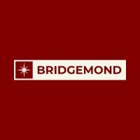 Bridgemond Technologies logo - Similar company to Cape Clean