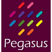 Pegasus Group International logo - Similar company to Vtn Ltd.
