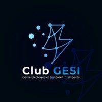Club GESI - ENSPD logo - Similar company to Global Security System