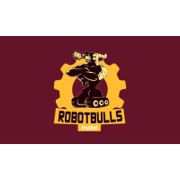 Robotbulls logo - Similar company to I.R Tech Soluções Em Sistemas Industriais Ltda
