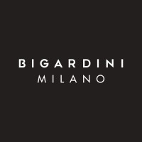 Bigardini logo - Similar company to Er Store Projects Academy