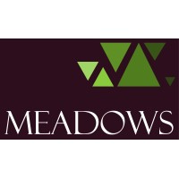 Meadows (Meadows Services Ltd) logo - Similar company to Lucid Urban Design & Architecture Ltd