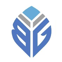 Blue Group Capital logo - Similar company to Aws Solutions Llc