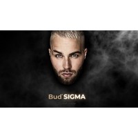 BeSigma logo - Similar company to Brainmondo - Efektivní Aktivizace