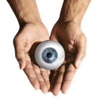 Visual Lure logo - Similar company to Anava Projects