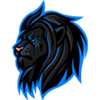 Lions Soluções