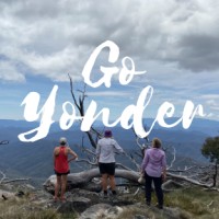 Go Yonder logo - Similar company to Wireitup