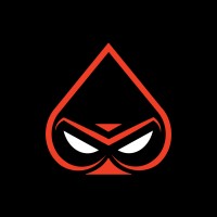 PokerSlayer logo - Similar company to Gaister Studios