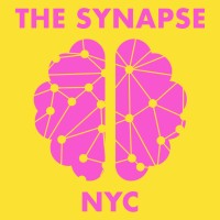 The Synapse logo - Similar company to Ways2Excel