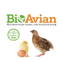 BioAvian Alimentación Animal con Bioseguridad logo - Similar company to Saco Verde Alimentación A Granel & Bio