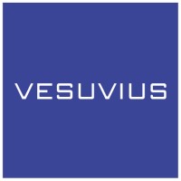 Vesuvius Poland logo - Similar company to Vesuvius