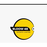 Bloow48 Invents Limited logo - Similar company to Blue Road Advisors