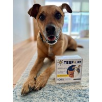 Teef Health Europe logo - Similar company to Ergoxs Bv