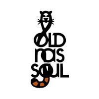 Old NasSoul logo - Similar company to Epics Medical Design Projects (Med)