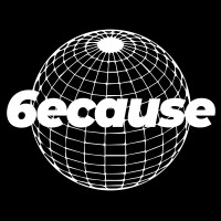 6ecause logo - Similar company to Datavista