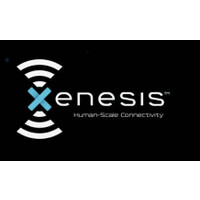 Xenesis logo - Similar company to Xenesis