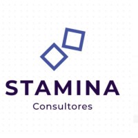 Stamina Consultores Perú logo - Similar company to Disbofar Del Perú Eirl