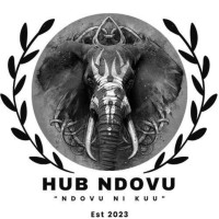 Hub Ndovu - Amali Organization logo - Similar company to Amali Organization