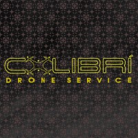 Colibri Drone Service logo - Similar company to Drones Pro México