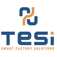 TESI Srl logo - Similar company to R.C.E S.