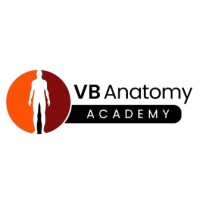 VB Anatomy logo - Similar company to Nomad Consulting