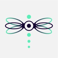 SUNDAYFLIES logo - Similar company to Bilateral Pulse Ltd.