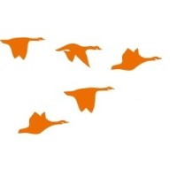 SyncPoint s.r.l. logo - Similar company to Bugfree