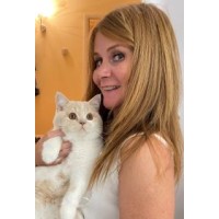 Ginger Top Recruitment Ltd. logo - Similar company to Sonex