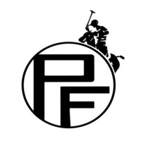 POLO Frenzy logo - Similar company to Life Connection Technology
